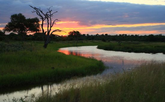 motswari-game-lodge-views-landscape-04