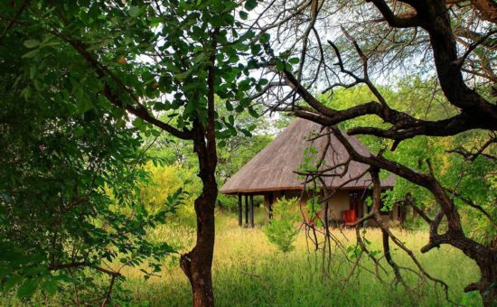 motswari-game-lodge-room-bungalow-exterior-01