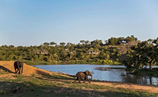 simbavati-hilltop-lodge-landscape-view-wildlife-01
