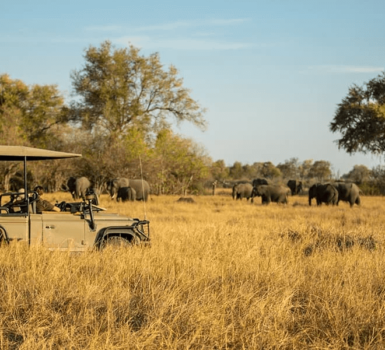 Gomoti Plains