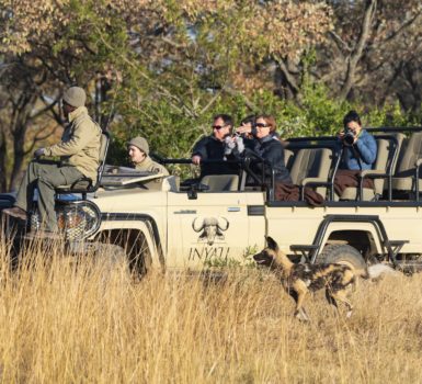 Inyati Game Lodge