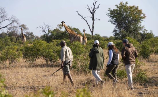 inyati-game-lodge-activities-bush-walk-01