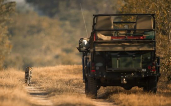 singita-boulders-lodge-activities-game-drive-05