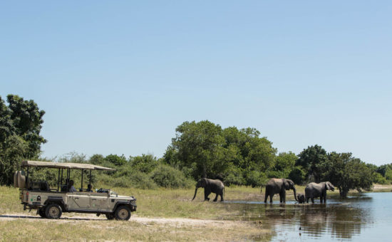 chobe-game-lodge-game-drive