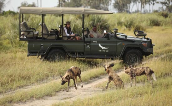 nxabega-okavango-camp-activities-game-drive-24