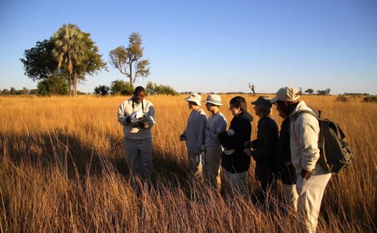 camp-okavango-activities-walking-safari-01