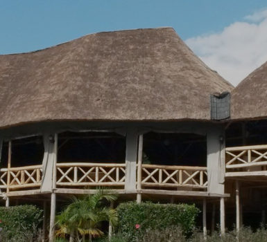 Kasenyi Safari Camp