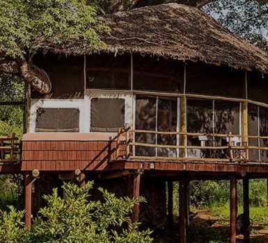 Elewana Tarangire Treetops