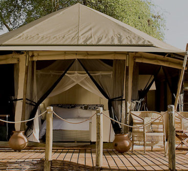 Sanctuary Swala Camp