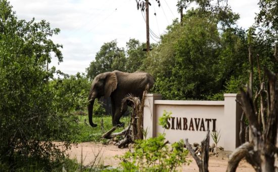 simbavati-river-lodge-exterior-view-main-lodge-01